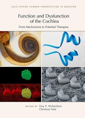 Function and Dysfunction of the Cochlea