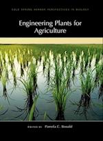 Engineering Plants for Agriculture