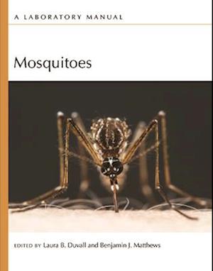 Mosquitoes