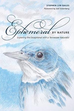 Ephemeral by Nature