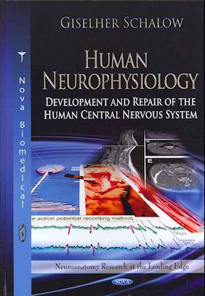 Human Neurophysiology