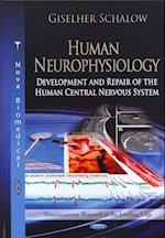 Human Neurophysiology