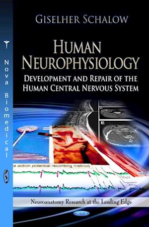 Human Neurophysiology