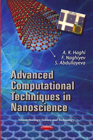 Advanced Computational Techniques in Nanoscience