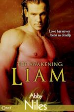 Awakening: Liam