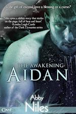 Awakening: Aidan