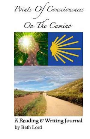 Points of Consciousness from the Camino