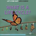 What Is a Life Cycle?