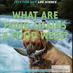 What Are Food Chains & Food Webs?