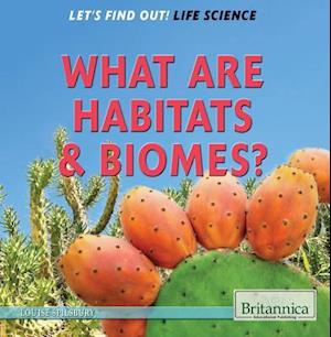 What Are Habitats & Biomes?