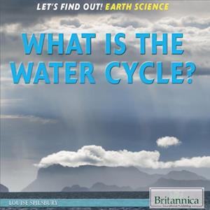 What Is the Water Cycle?