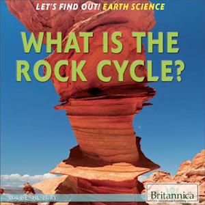 What Is the Rock Cycle?