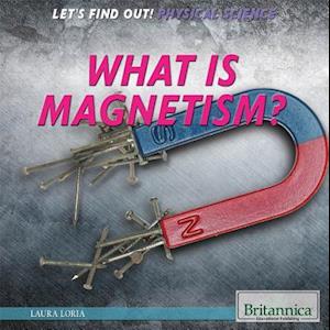 What Is Magnetism?