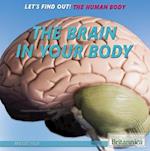 The Brain in Your Body