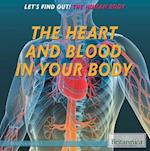 The Heart and Blood in Your Body