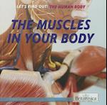 The Muscles in Your Body