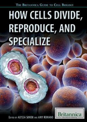 How Cells Divide, Reproduce, and Specialize
