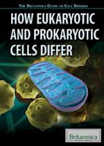 How Eukaryotic and Prokaryotic Cells Differ
