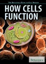 How Cells Function