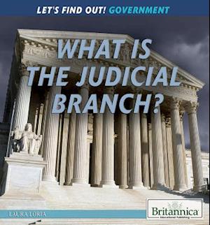 What Is the Judicial Branch?