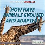 How Have Animals Evolved and Adapted?
