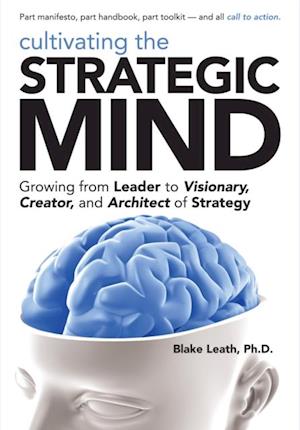 Cultivating the Strategic Mind