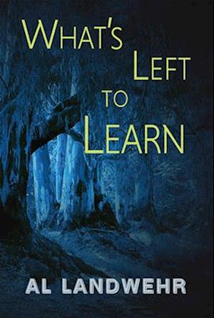 What's Left to Learn