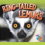 Ring-Tailed Lemurs