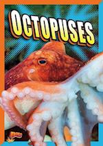 Octopuses