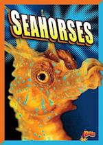 Seahorses