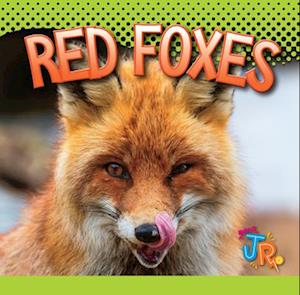 Red Foxes