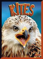 Kites