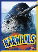 Narwhals