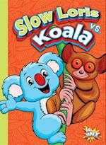 Slow Loris vs. Koala