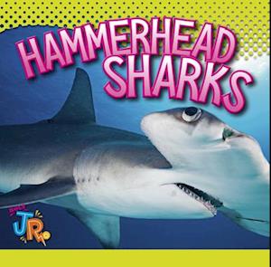 Hammerhead Sharks