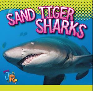 Sand Tiger Sharks