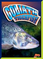 Goliath Tigerfish