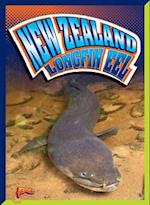 New Zealand Longfin Eel