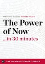 Power of Now in 30 Minutes