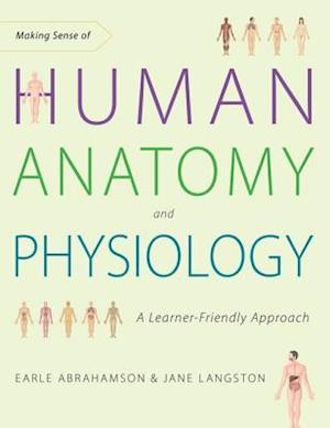 Making Sense of Human Anatomy and Physiology
