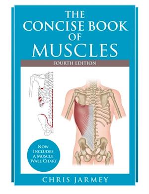 Concise Book of Muscles, Fourth Edition