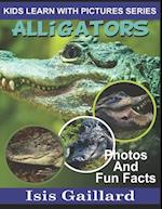 Alligators