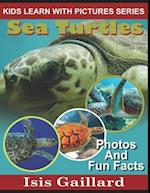 Sea Turtles