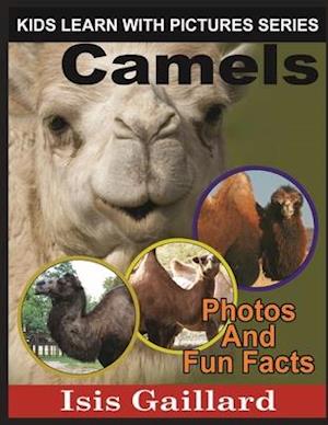 Camels