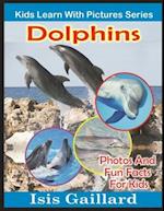 Dolphins