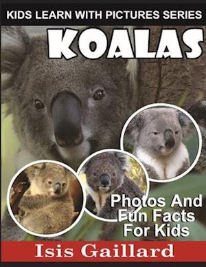 Koalas