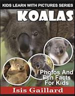 Koalas