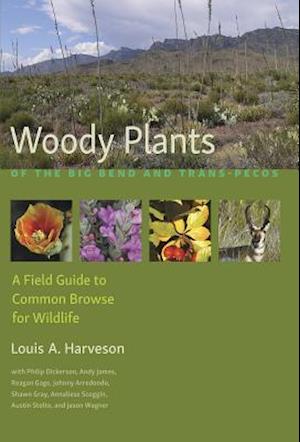 Woody Plants of the Big Bend and Trans-Pecos