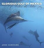 Cancelmo, J:  Glorious Gulf of Mexico