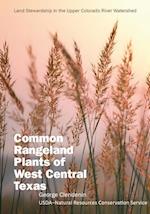 Common Rangeland Plants of West Central Texas